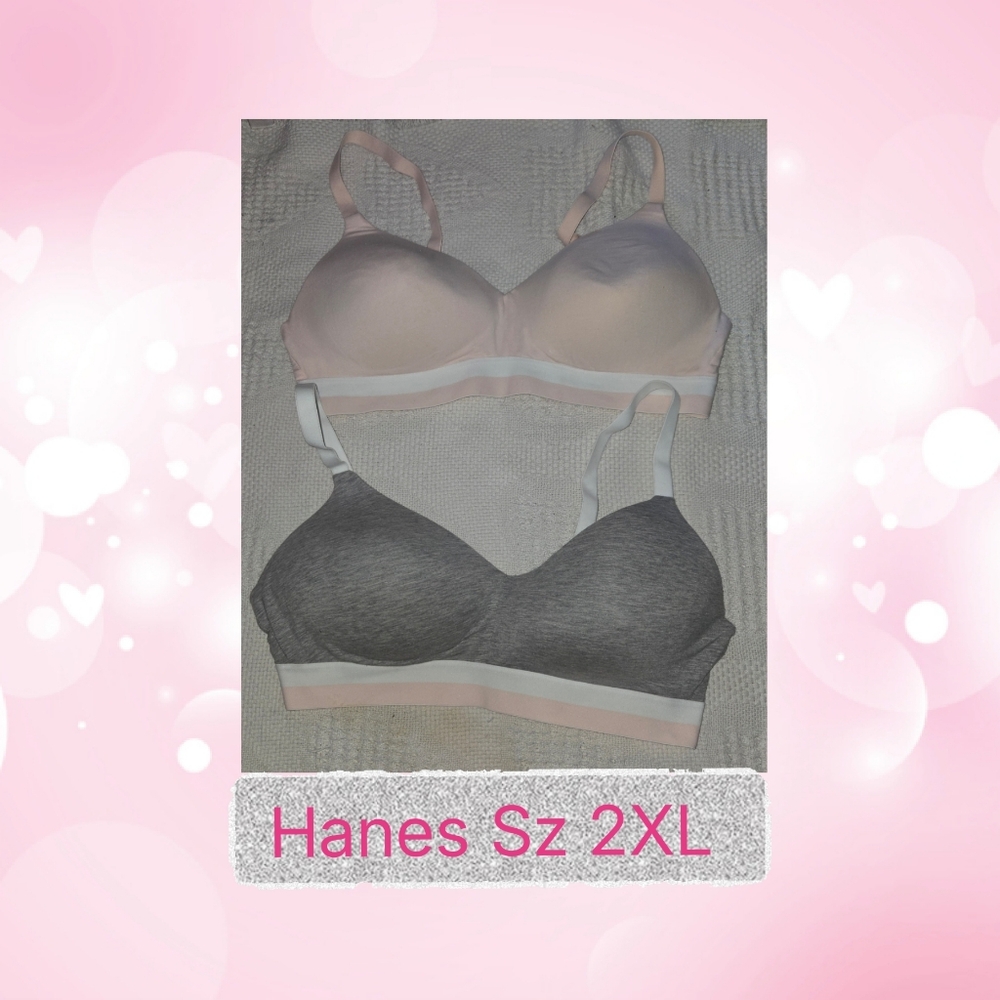 Hanes Women's Everyday Wire-free Bra – Pink & Gray, Size 2XL